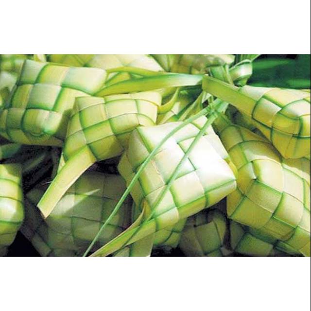 Cangkat ketupat wadah ketupat kosong daun janur muda segar