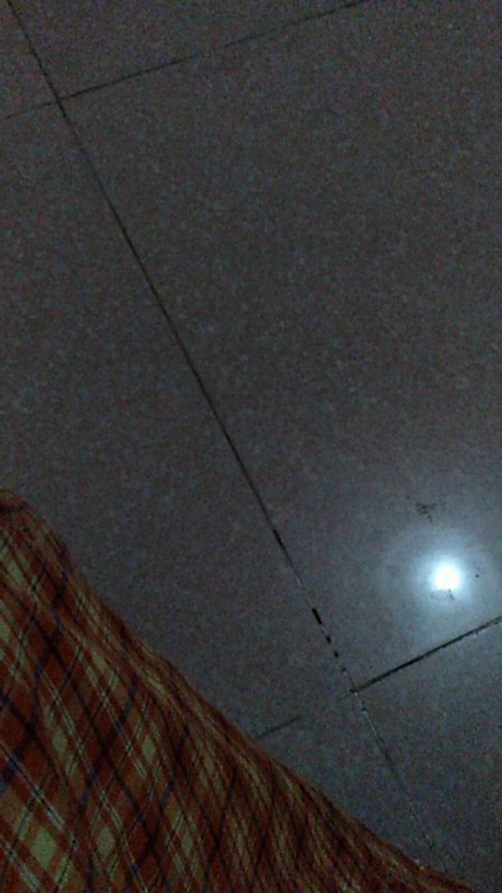 Kotak Makan Bento Lunch Box Set 3 Tingkat Transparant Lid Tempat Makan Bpa Free 900m