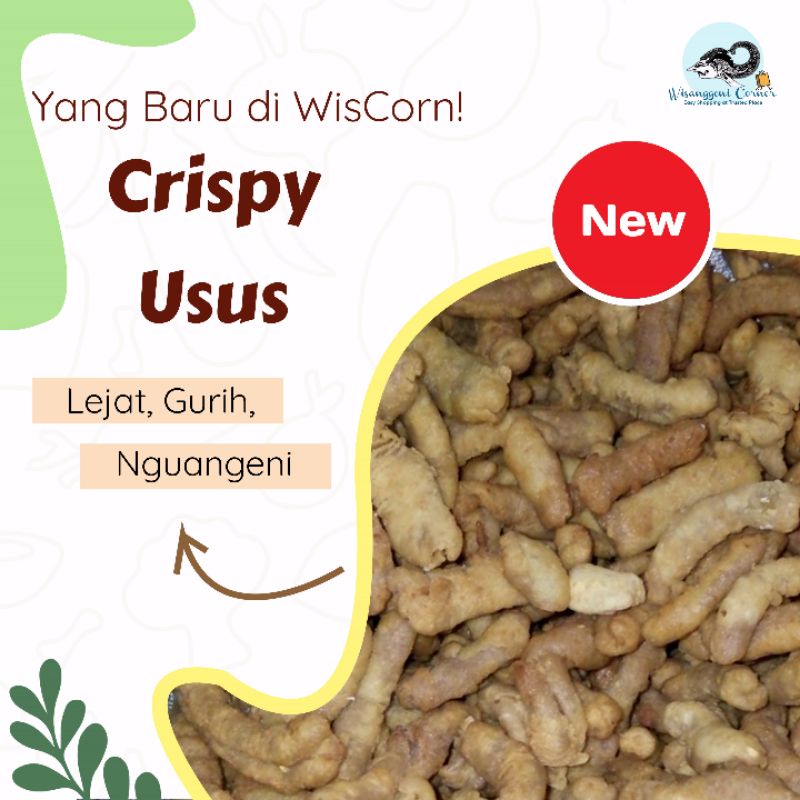 

Usus~Crispy~Wisanggeni