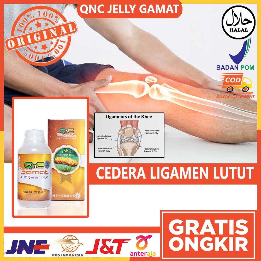 Obat Herbal Cedera Ligamen Lutut Nyeri Sendi Persendian Sakit Lutut Nyeri Lutut Ligamen Cedera Lutut
