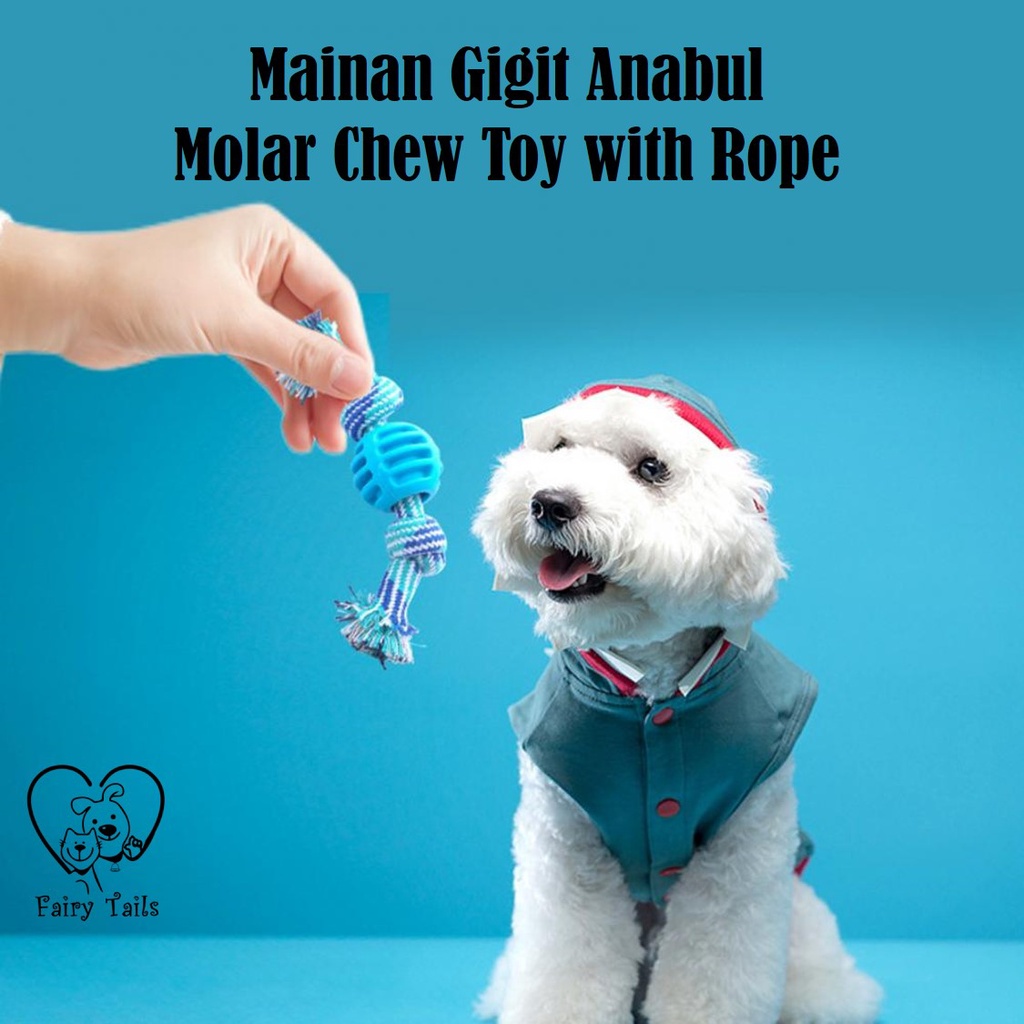 Mainan Gigitan Kunyah Untuk Anjing dan Kucing Tali dan Bola TPR/ Pet Chew Toy with Rope and TPR Ball