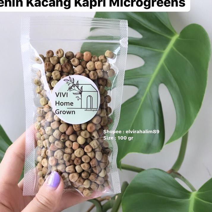 

Kirim Sekarang Benih Biji Kacang Kapri 100gr Snow Peas Tomiau PeaShoots Pea Shoots Taomiao Microgree