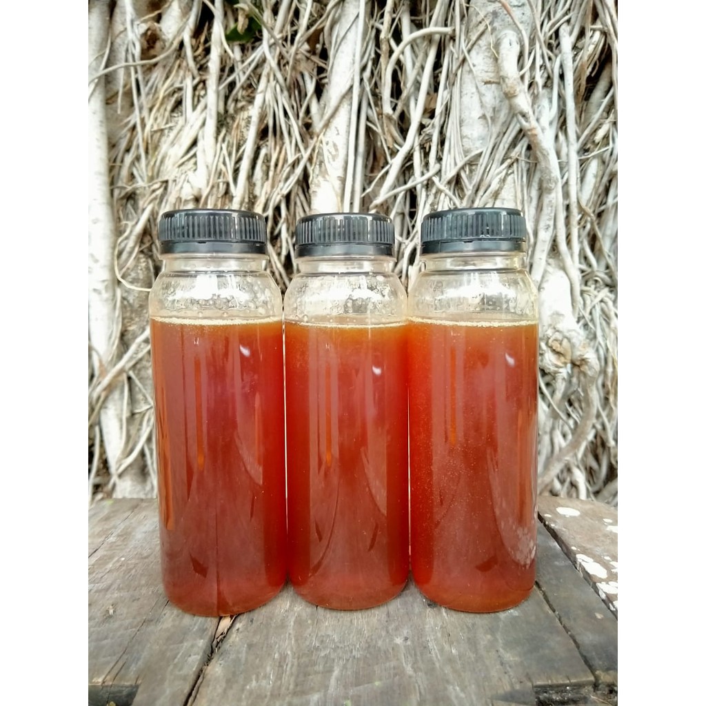 

MADU HUTAN KALIMANTAN
