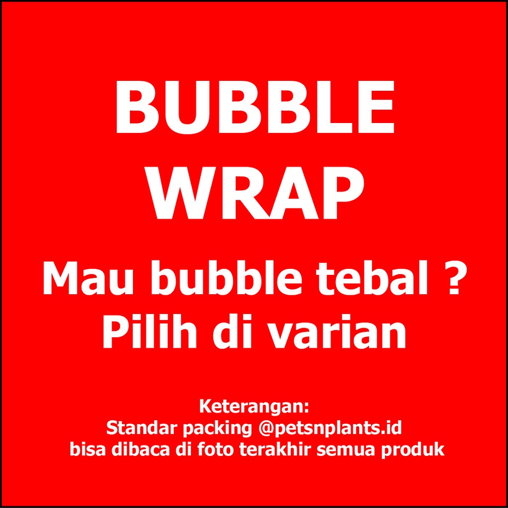 EXTRA PACKING BUBBLE WRAP (Plastik Gelembung) LEBIH AMAN