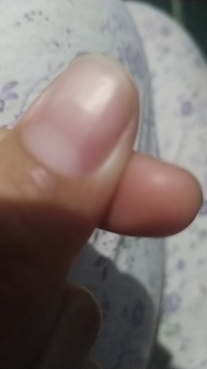 Gunting Rumput 3 Posisi 01 Junior Alat Potong Rumput Kebun Tanaman