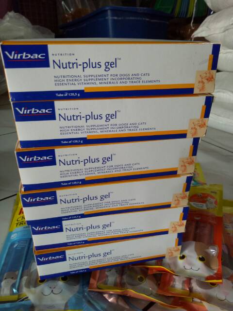 Nutriplus gel BOX vitamin anjing kucing