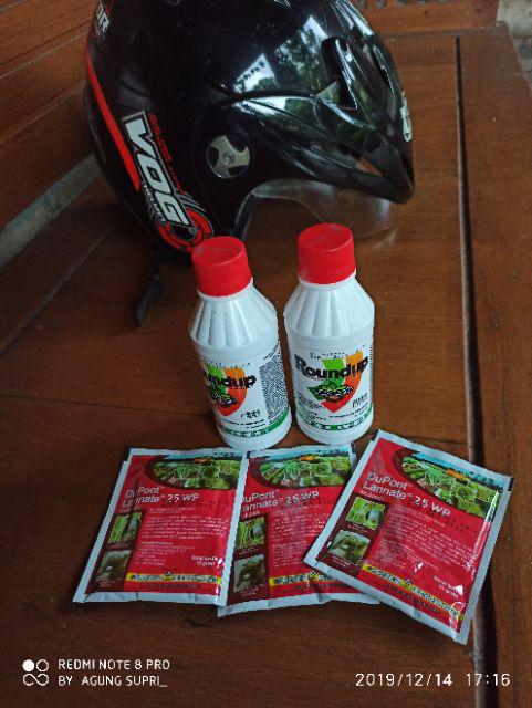 Obat Ulat Penggerek Batang Dan Belalang Lannate 25 Wp Kemasan 15 Gram