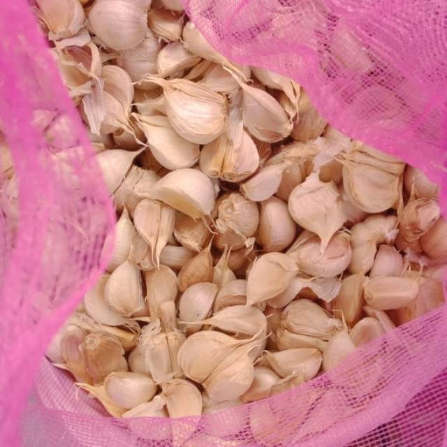 

Bawang putih kating