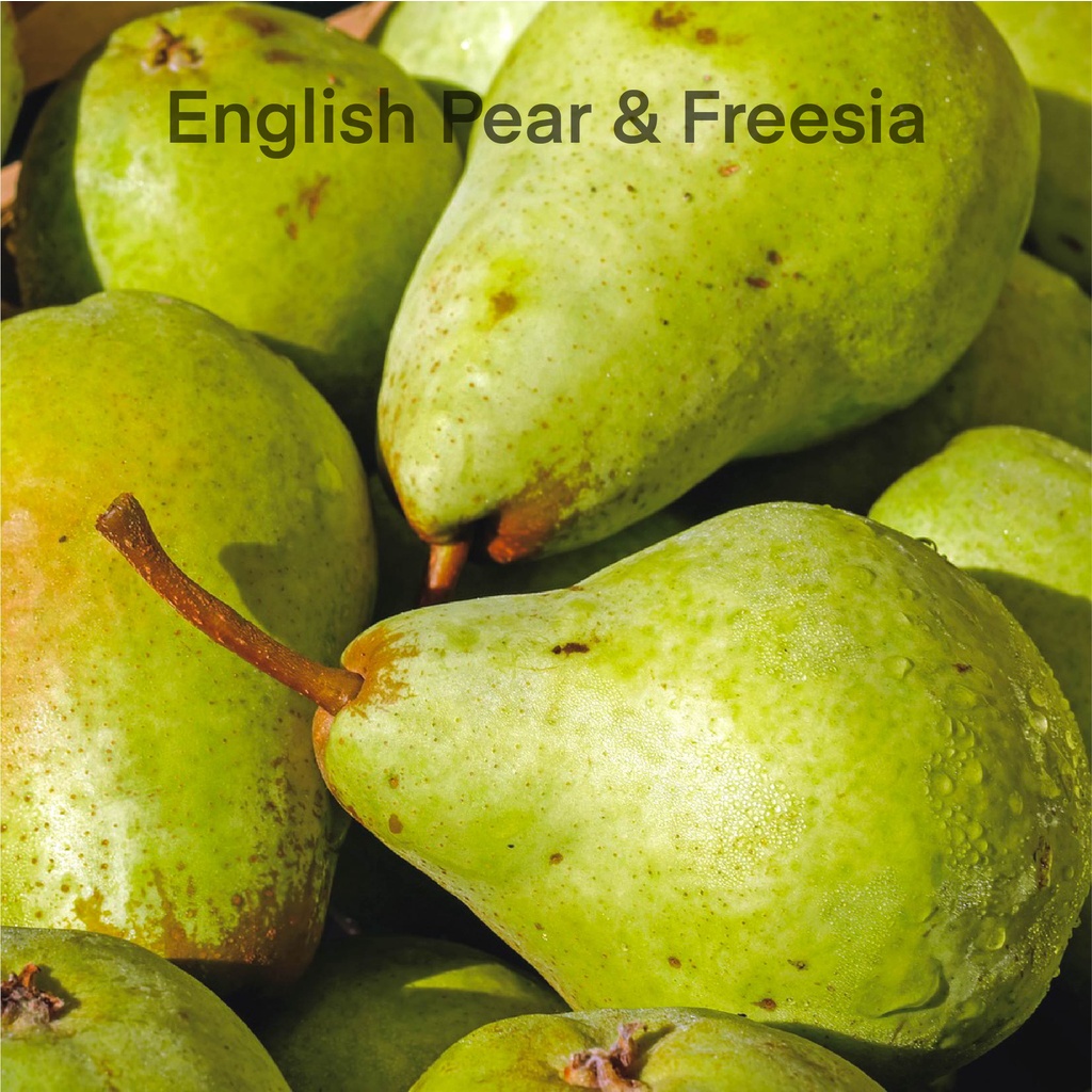 Jual English Pear & Freesia - Fragrance Oil Candle / Pewangi Lilin