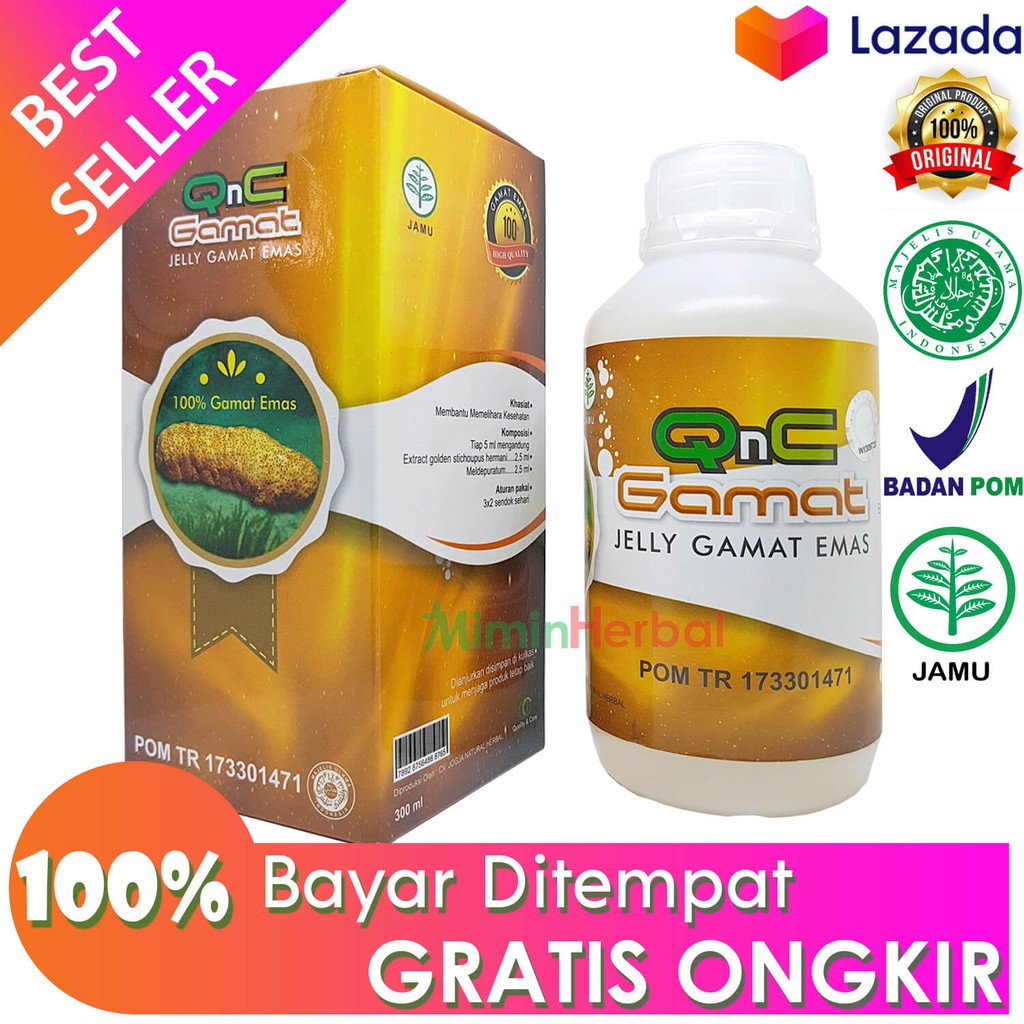 Qnc Jelly Gamat Surabaya Asli 300ml Untuk Maag Dan Asam Lambung Tinggi Indonesia