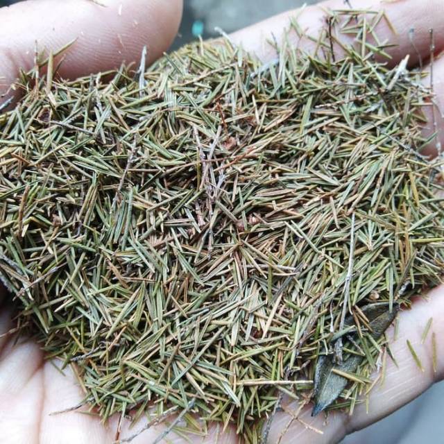 

Herbal Jungrahab 1kg - Jung rahab Atau Ujung Atap