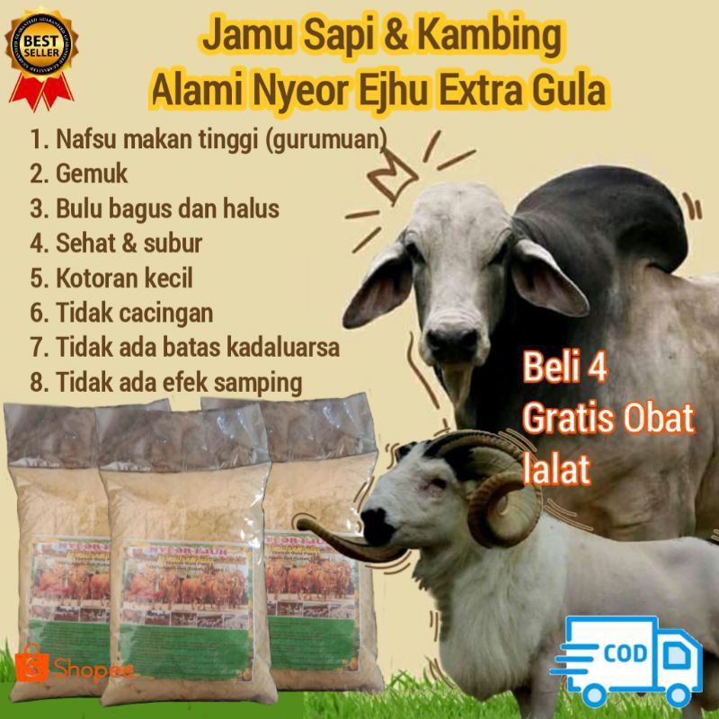 

JAMU HERBAL ALAMI JAMU TERNAK NYEOR EJUH (ISI 5 BUNGKUS)