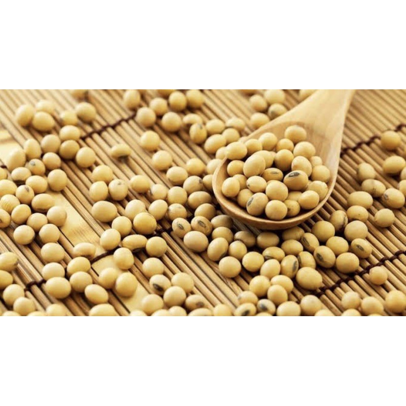 

kacang kedelai