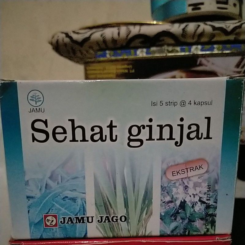 

SEHAT GINJAL