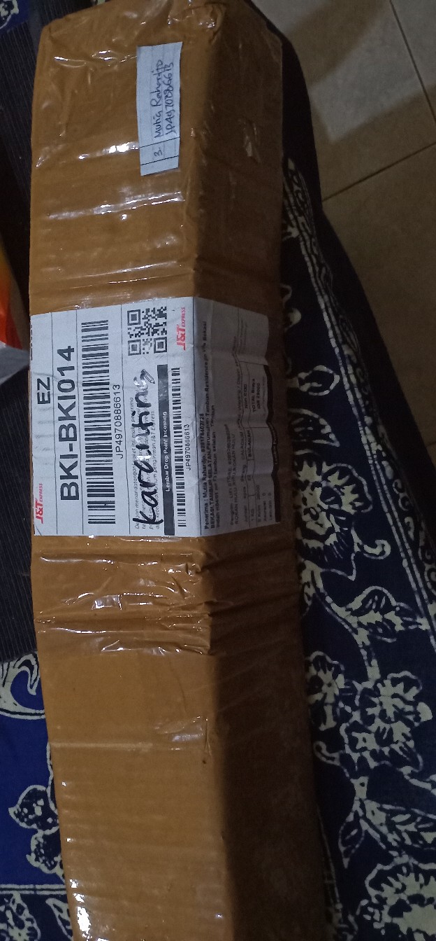 Caladium Shycool/ Dikirim Size Anakan-remaja Cat Tumpah