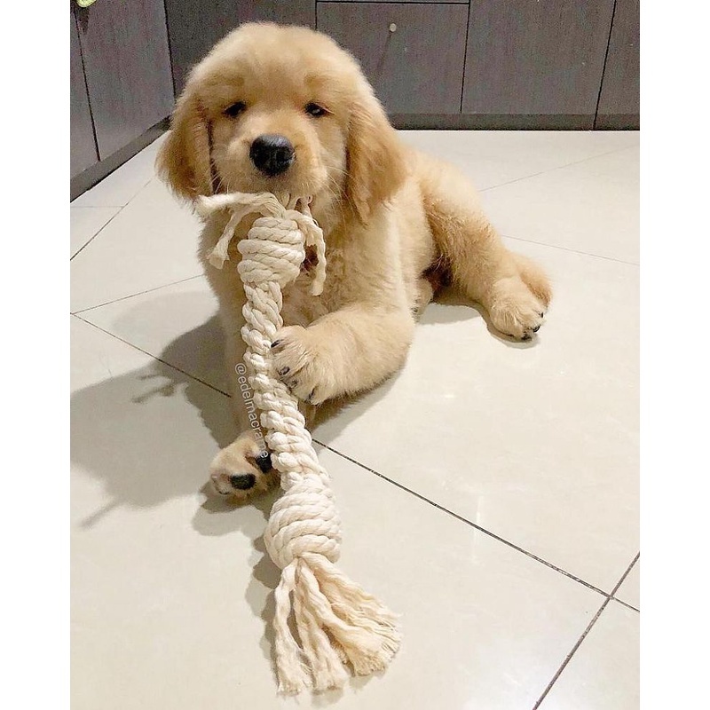 Mainan Gigitan Anjing | Handmade Knot Cotton Rope Bone Chew Dog Pet Toys for Pet Doggy