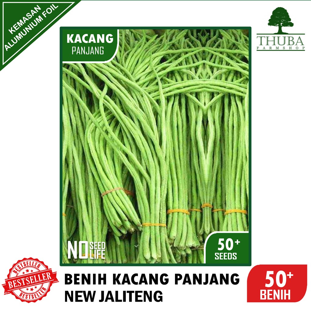 50 Bji - Benih Kacang Panjang Hijau NEW JALITENG - Bibit Kacang Panjang Bermutu