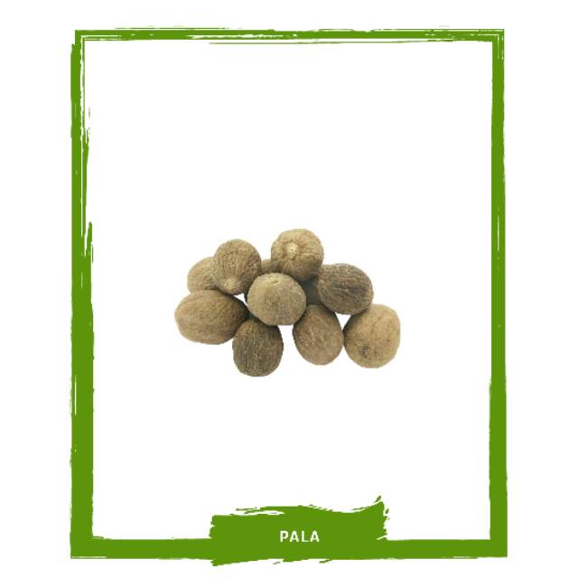 

Pala / Rempah Rempah Bumbu Masak By Mallahrizwa