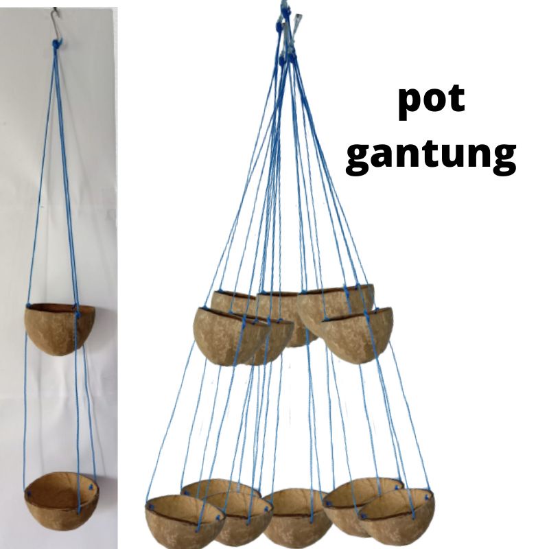 pot tanaman gantung batok kelapa dua susun