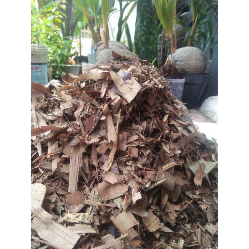 MEDIA TANAM DAUN BAMBU KERING - CACAH DAUN BAMBU KERING