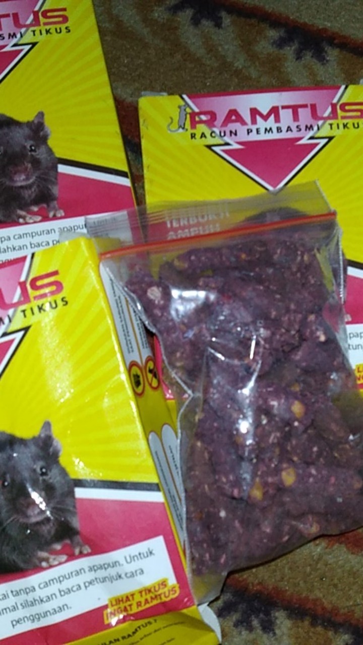 Ramtus Racun Tikus Ampuh Mati Kering Tidak Bau Pembasmi Curut Wirog Mencit Dirumah Di Mobil 3 Pack