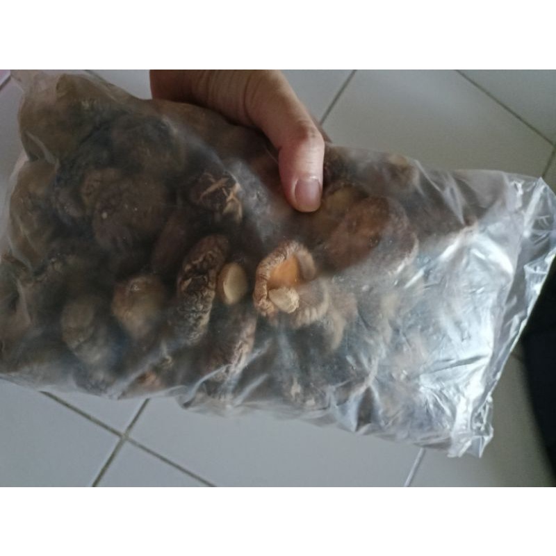

Jamur Shitake Hioko Kering Dried Mushroom Ecer Grosir 100 g