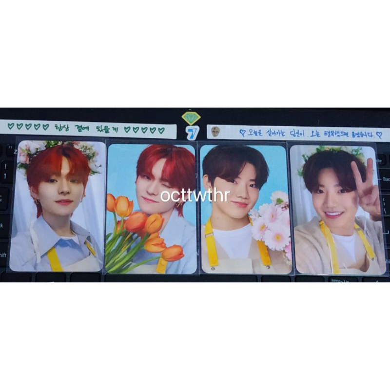 Tincase BLOOMING TREASURE