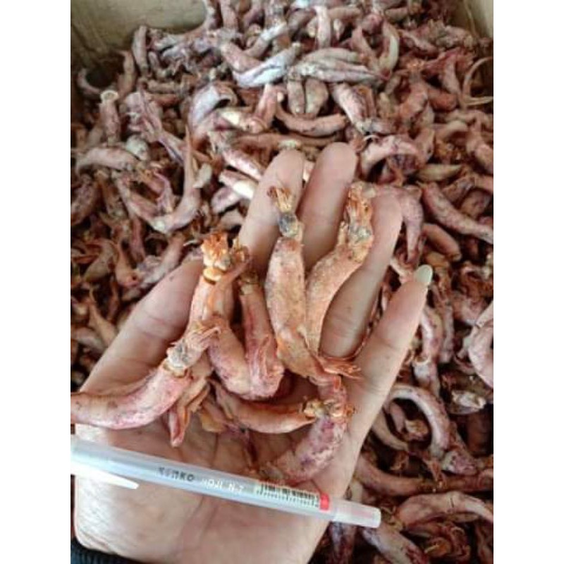 

cumi sotong asin 500 gram Khas Singkawang bisa buat mancing ikan kerapuk n sayur di rumah