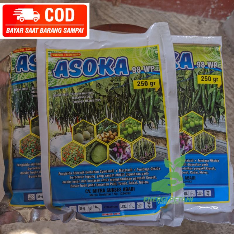 obat bakterisida ASOKA 98WP fungisida