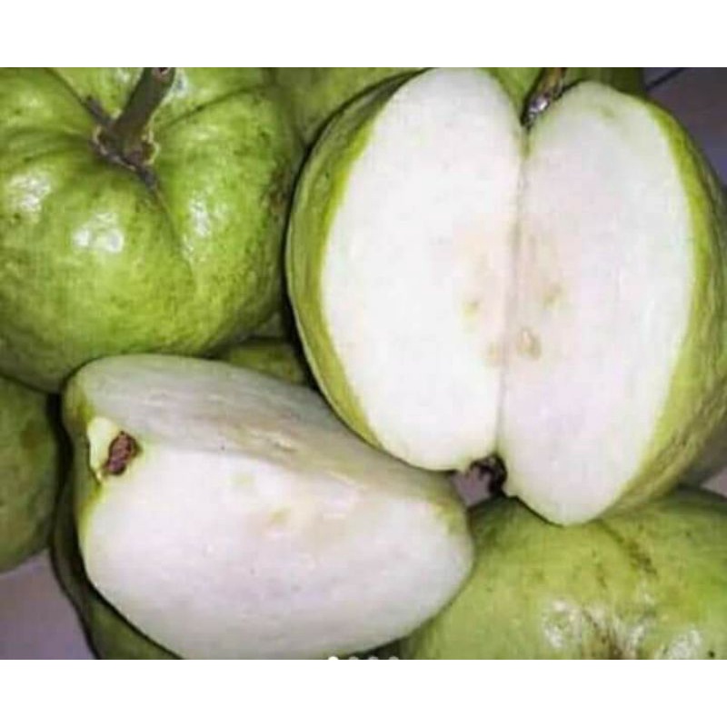 BUAH JAMBU KRISTAL MANIS 1KG