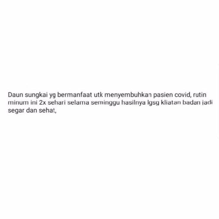 

YKM DAUN SUNGKAI 500 gram herbal covid 19 harga pendemi☇£ (Super Promo)Best produk ☇