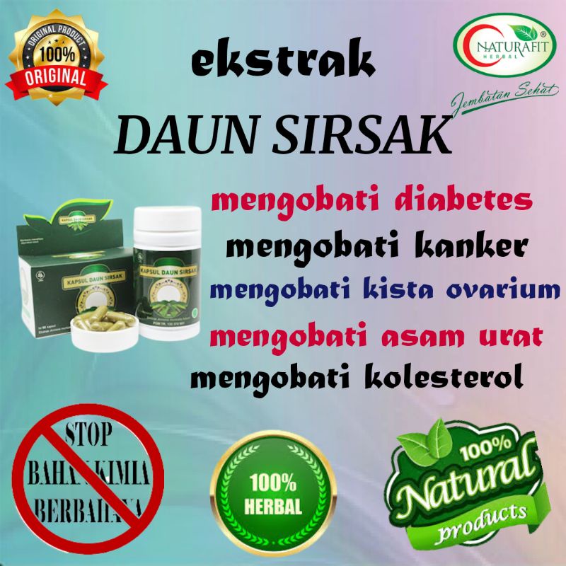 OBAT PENGHANCUR KISTA OVARIUM EKTRAK DAUN SIRSAK 60 KAPSUL - obat herbal untuk kista ovarium/obat he