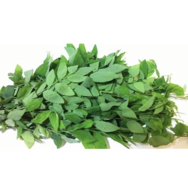 

SayurHD Daun Katuk 1 Ikat