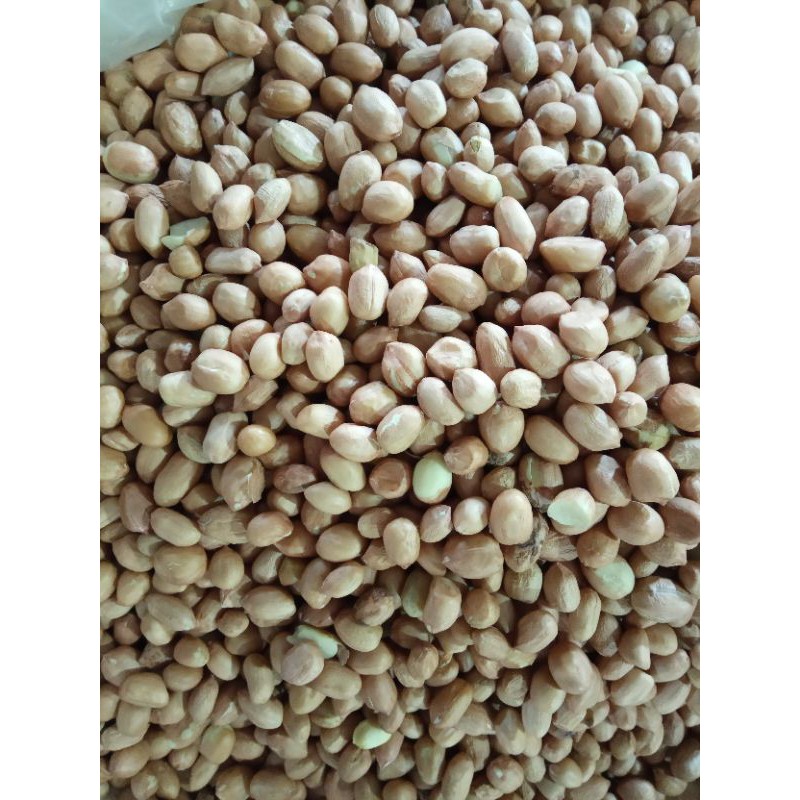 

Kacang Tanah putih 500g