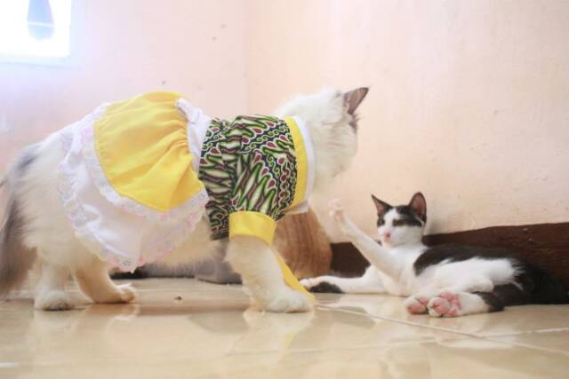 Dress hanbok batik kuning lucu untuk kucing dan anjing lucu size S-XL