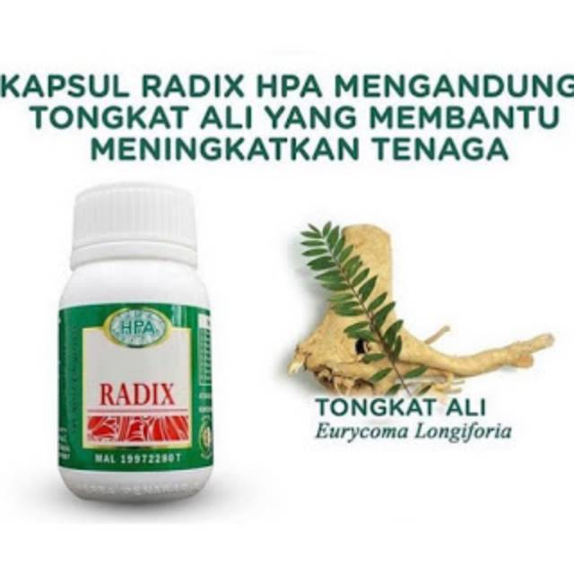 

KAPSUL RADIX HPA MALAYSIA