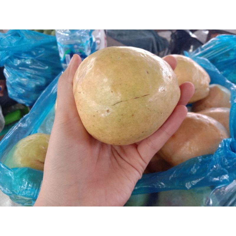 

Jambu biji merah/guava