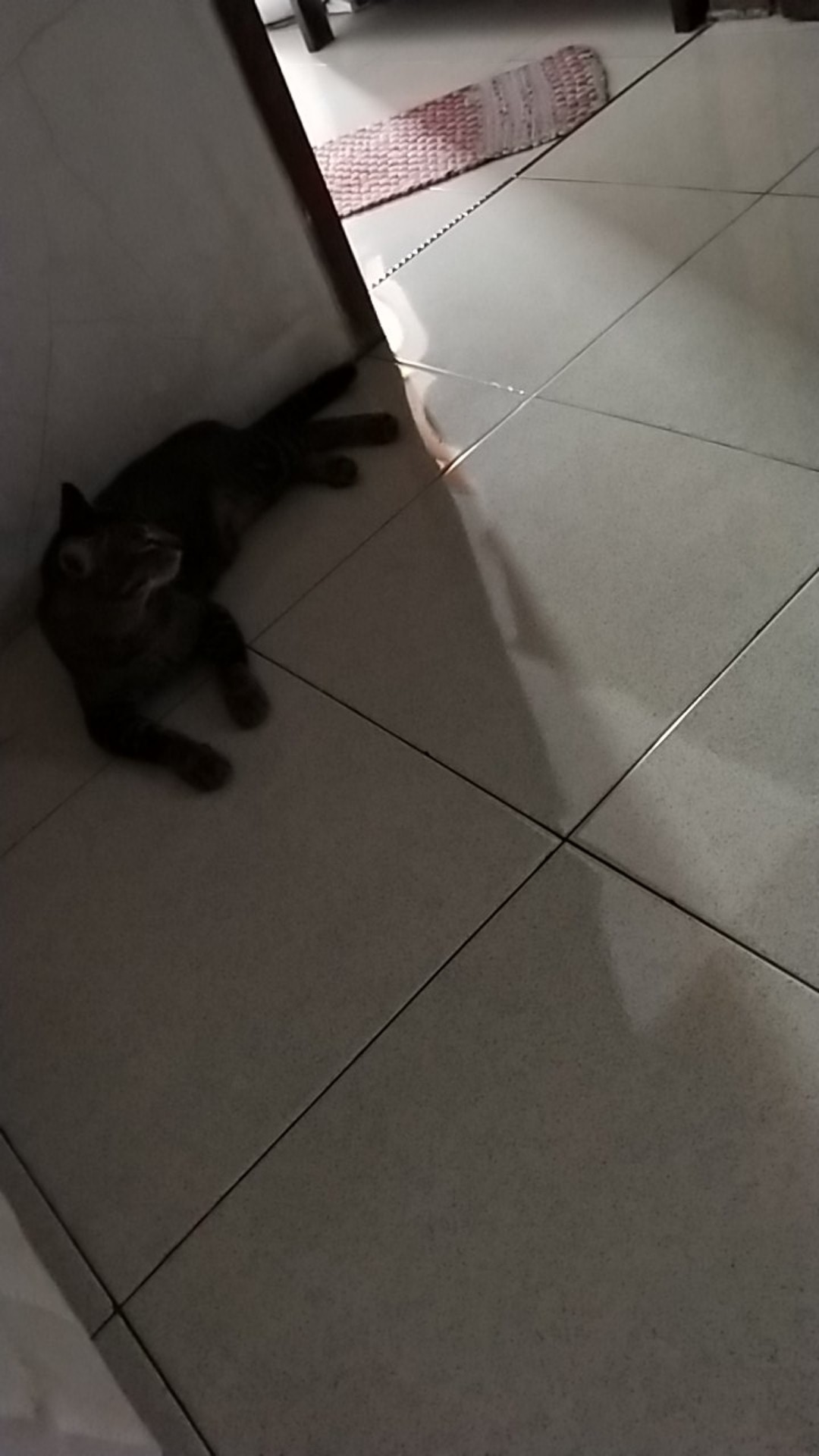 Sambungan Kran Air Anti Ciprat Splash Fleksibel Keran