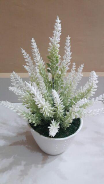 (termurah Ada Anak_6 Warna) Batik Couple Andhini Kebaya Couple Brukat Anabel - Bs073 Sarasvati Store