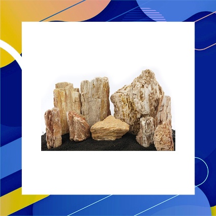 Batu Fosil Kayu Aquascape Kiloan