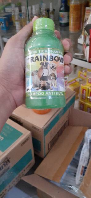 Rainbow Shampoo Kutu Anjing Wangi