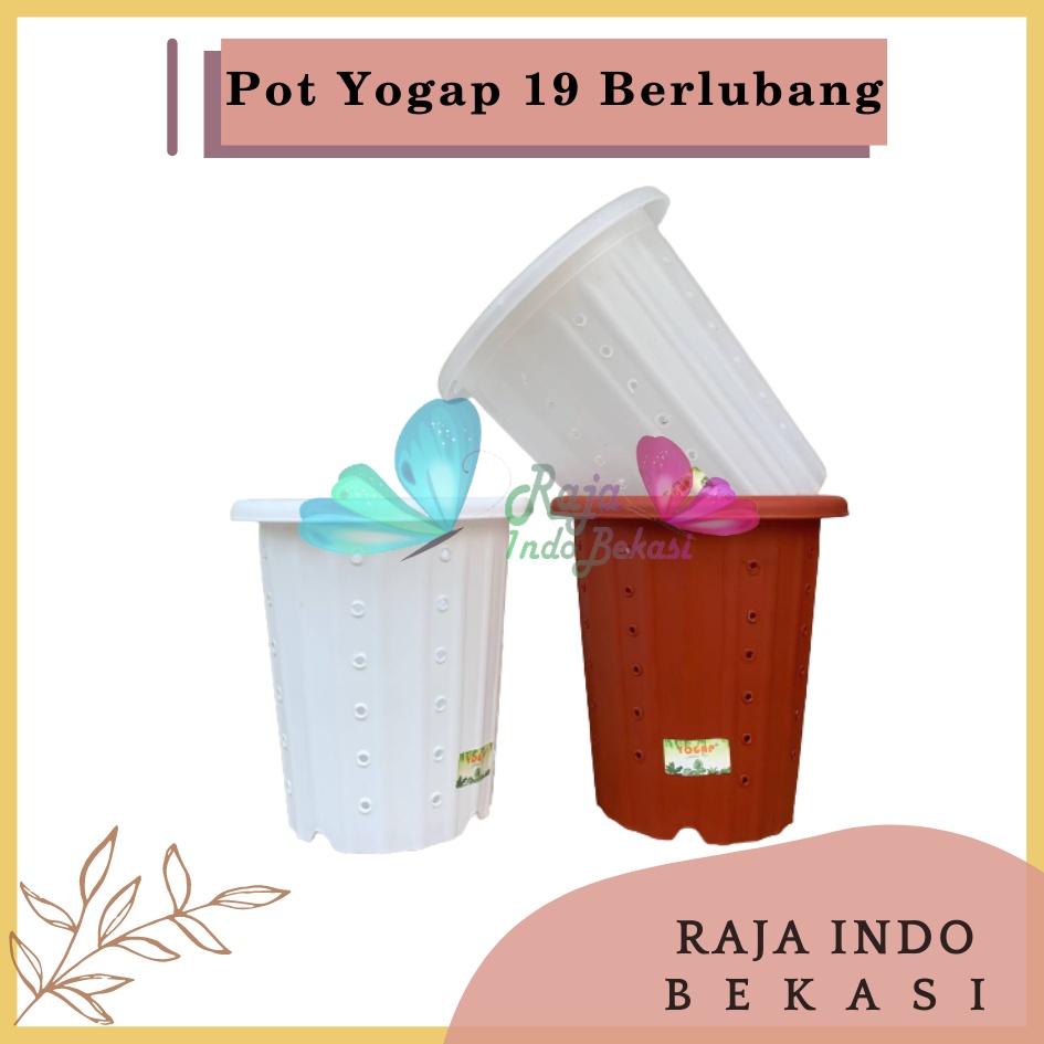 Pot Yogap 19 Putih Bening Transparan Merah Bata Merah Coklat Terracota Terracotta Berlubang POT BUNGA YOGAP UKURAN 19 DIAMETER 23CM BERLUBANG