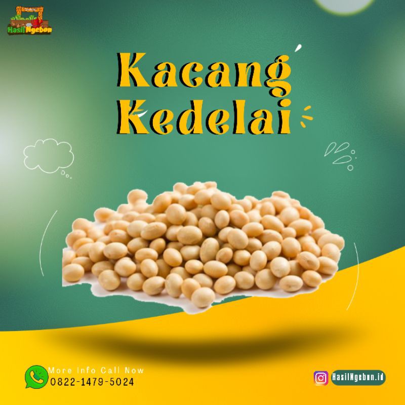 

KACANG KEDELAI IMPORT 250GR
