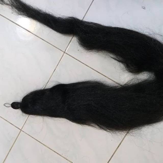 RAMBUT CEMARA TULANG