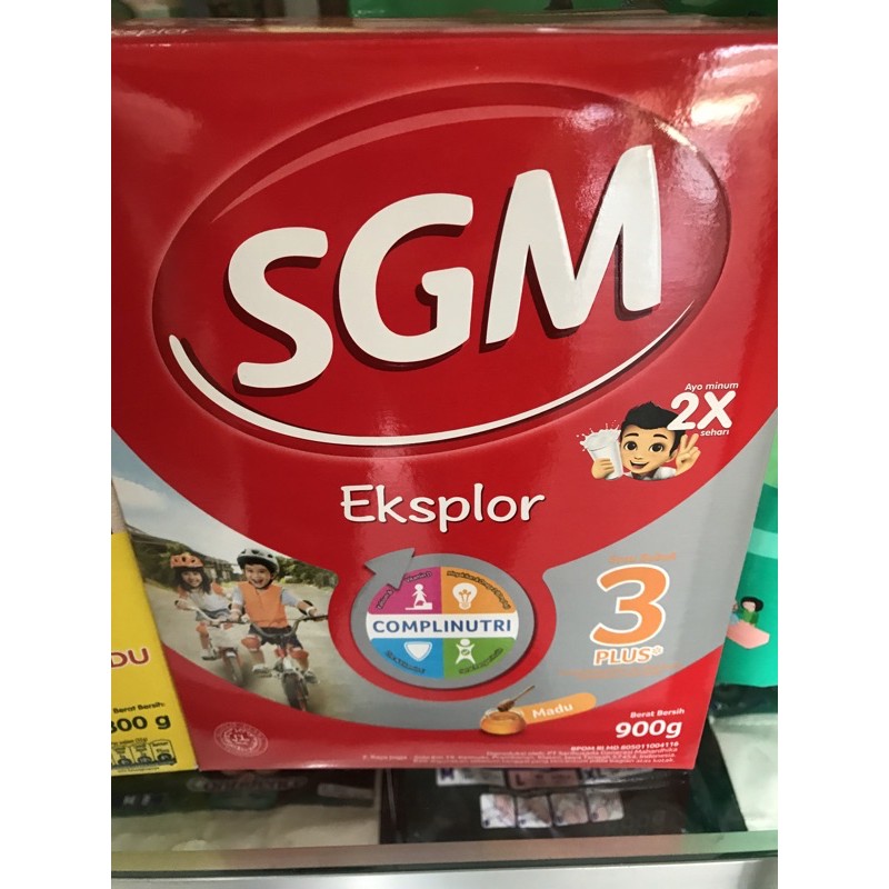 SGM 3