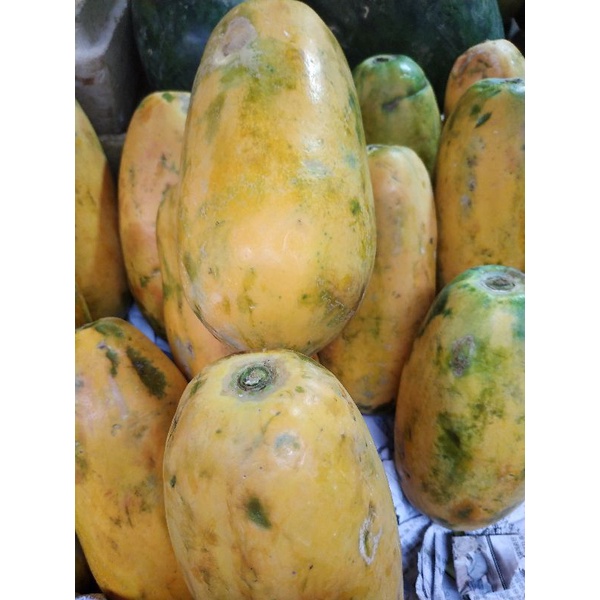 

papaya