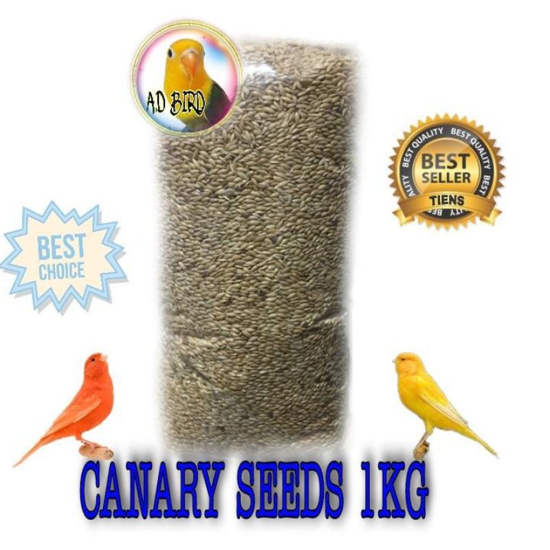 CANARY SEED