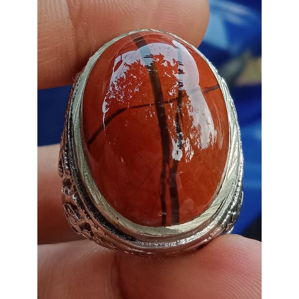 Batu akik tapak jalak ati ayam