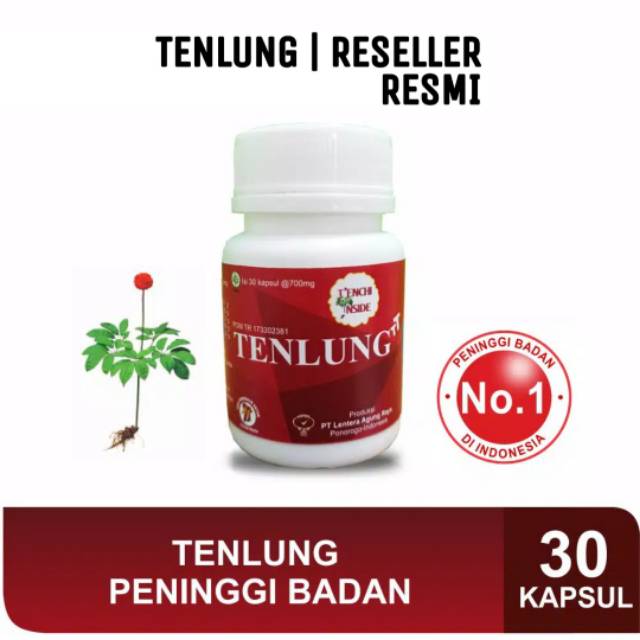 TENLUNG PENINGGI BADAN KEMASAN 30 KAPSUL ( BOTOL SEGEL ) ORIGINAL