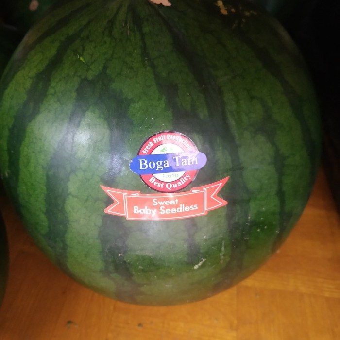 

Semangka Sweet Baby Red Seedlees / pics